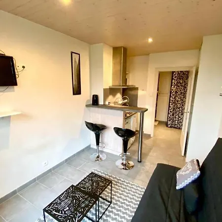 Sobnb - Geneve- Petit Studio A Cote Du Tram Et De La Douane * Gaillard